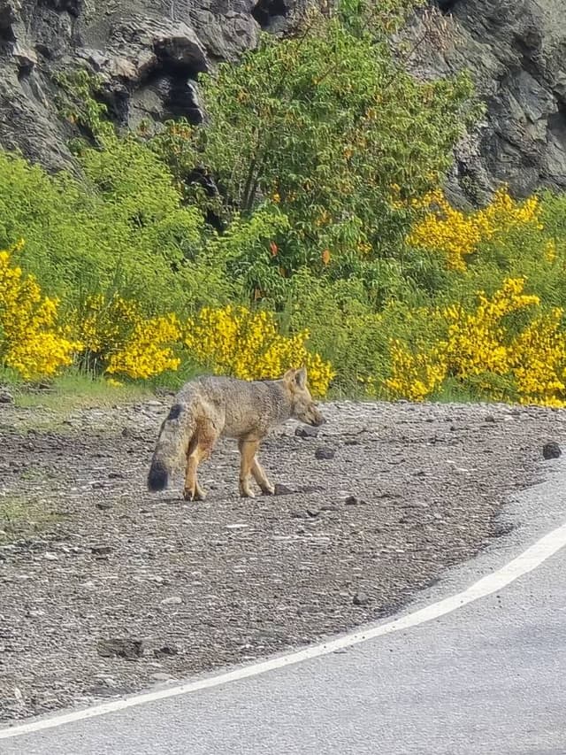 Foto 2 de DIANA M V. (14/11/25)