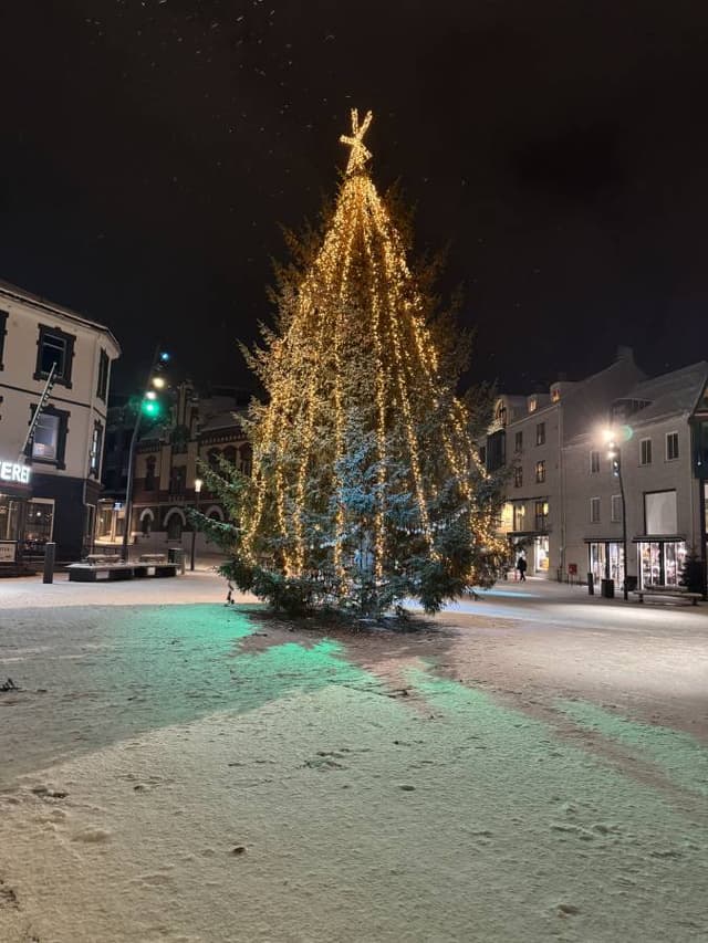 Bilde 1 av Oyvind H. (30.12.25)