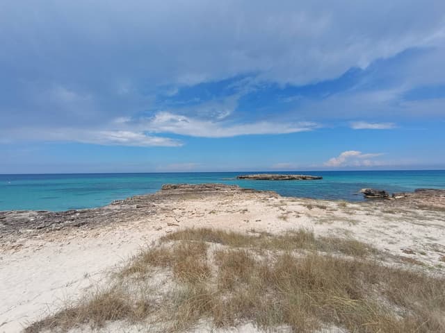 Photo 1 by Gergely D. about hiring a Fiat Panda at Bari Airport (01.06.24)