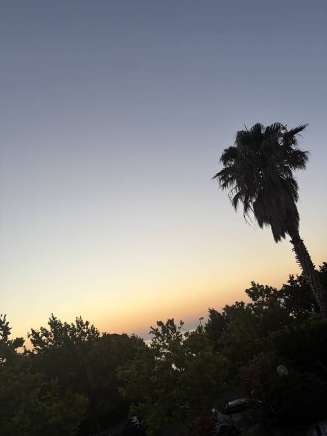 Photo 1 by Edmundas B. (7/27/26)