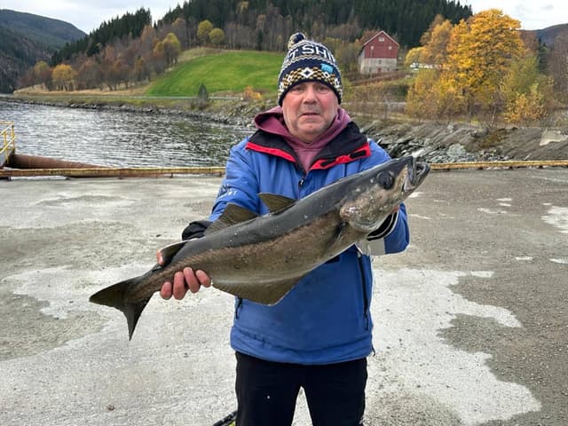 Photo 1 by Bryan M. about hiring a Toyota Yaris in Norway (23/10/25)