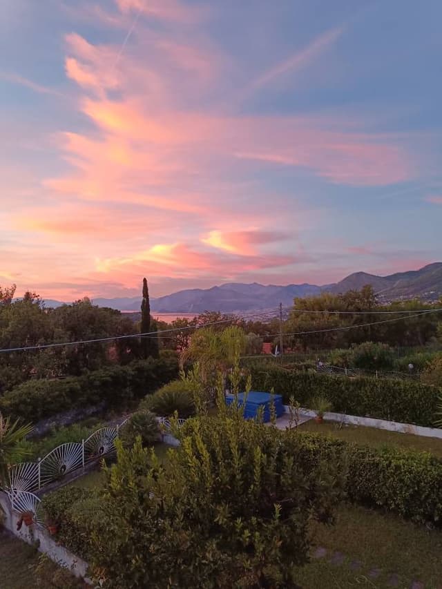 Foto 1 van Igor B. (19-10-25)