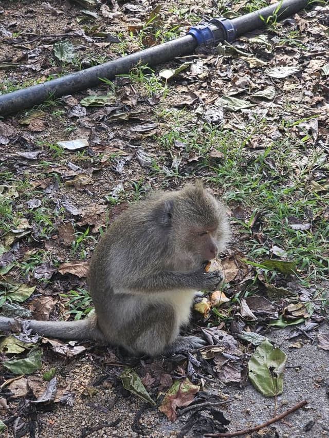 Photo 1 by OREN B. (3/18/25)