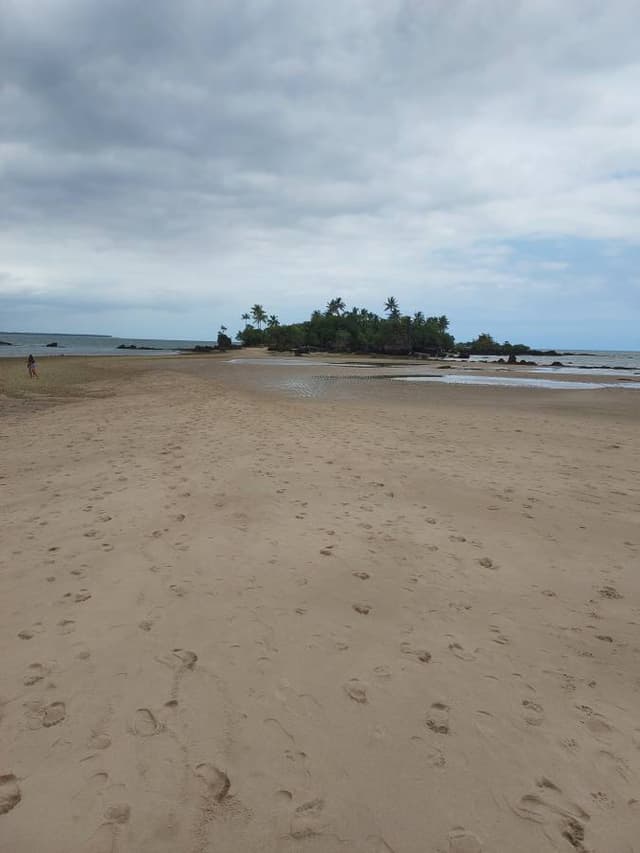 Foto 1 de Paulo M. (11/11/25)