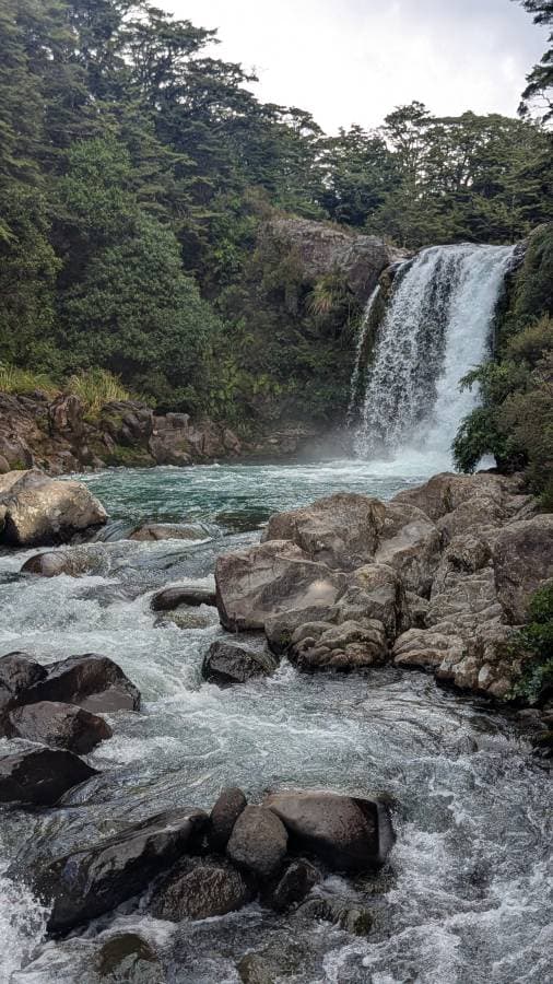 Photo 1 by Mark P. about hiring a Kia Stonic in Wellington (08/03/26)