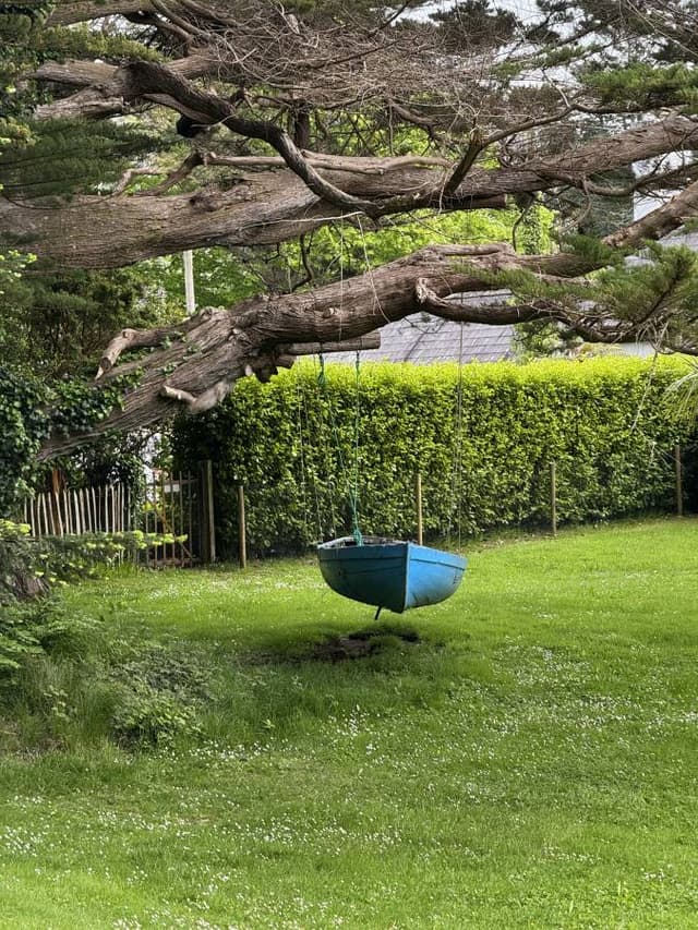 Photo 1 by Susan S. (5/13/26)