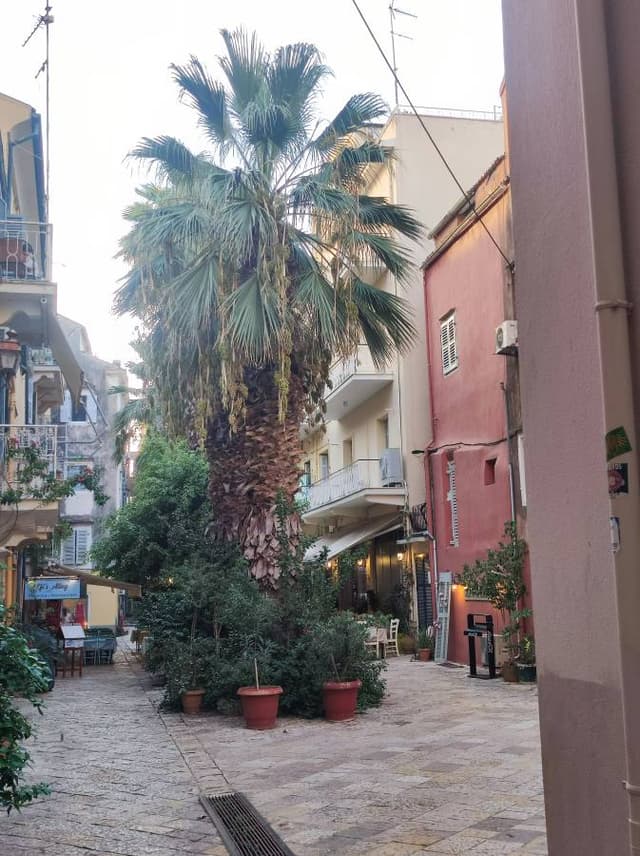 Foto 1 di Lucio T. (10/09/23)