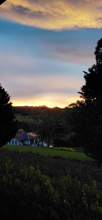 Photo 1 by Yen Chyn T. (3/30/26)