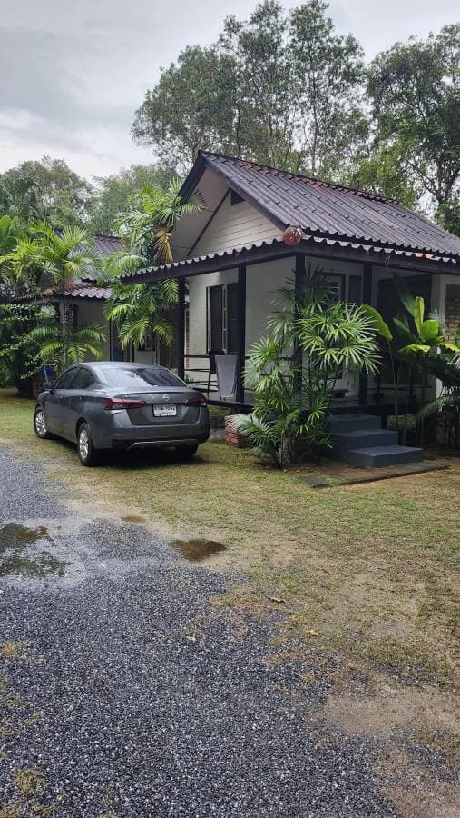 Photo by Martin G. (11/24/25)