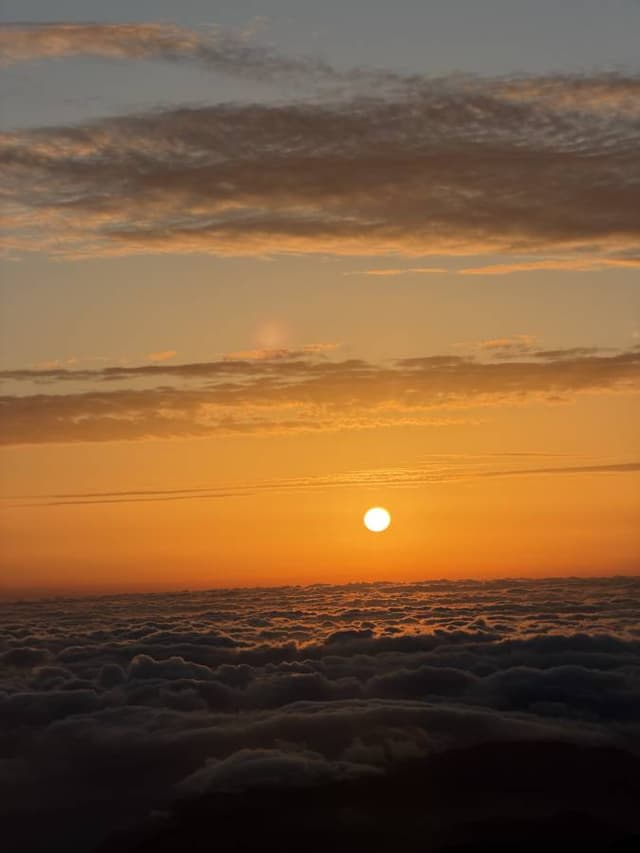 Photo 1 by Hortencia C V. (4/11/26)