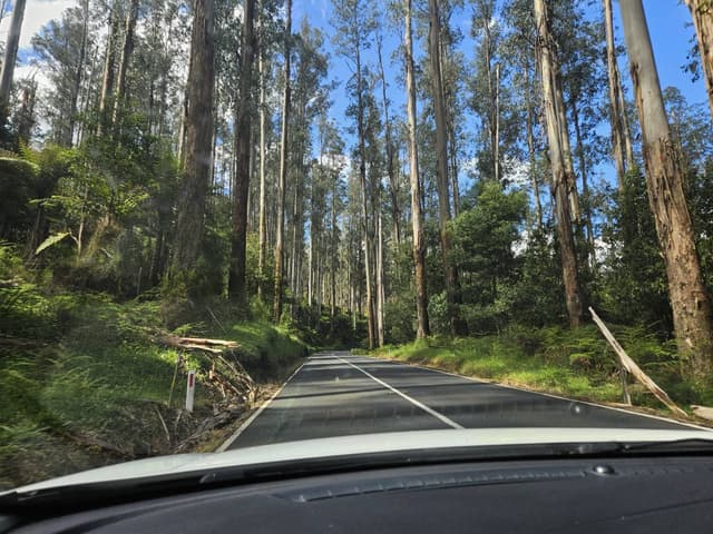 Photo 3 by Toni H. (11/21/25)