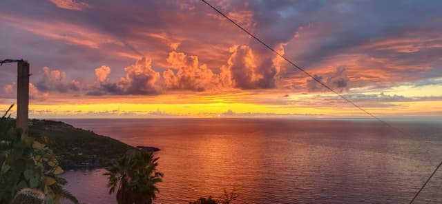 Foto 2 van Igor B. (19-10-25)