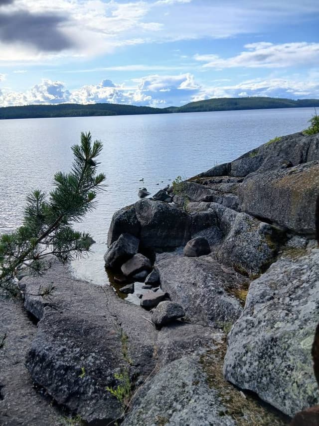 Photo 1 by Marja Lea D. (7/21/26)