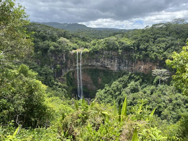 Billede 1 af Kenneth B. om at leje en Renault Kwid i Mauritius lufthavn (2/4/25)