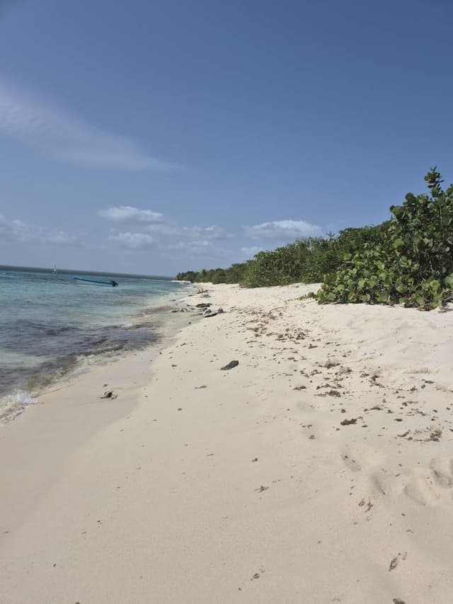 Foto 2 von Binisio S. über die Anmietung eines Suzuki Vitara in der Dominikanischen Republik (13.8.25)