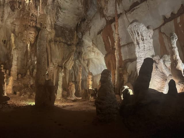 Foto 2 de Flavio M. (14/11/25)