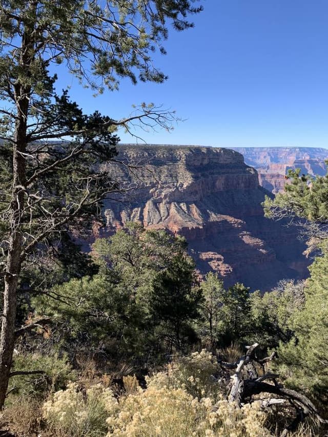 Photo 1 by Naomi H. (11/25/23)