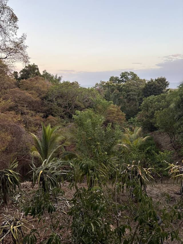 Photo 1 by Michele C. (3/20/26)