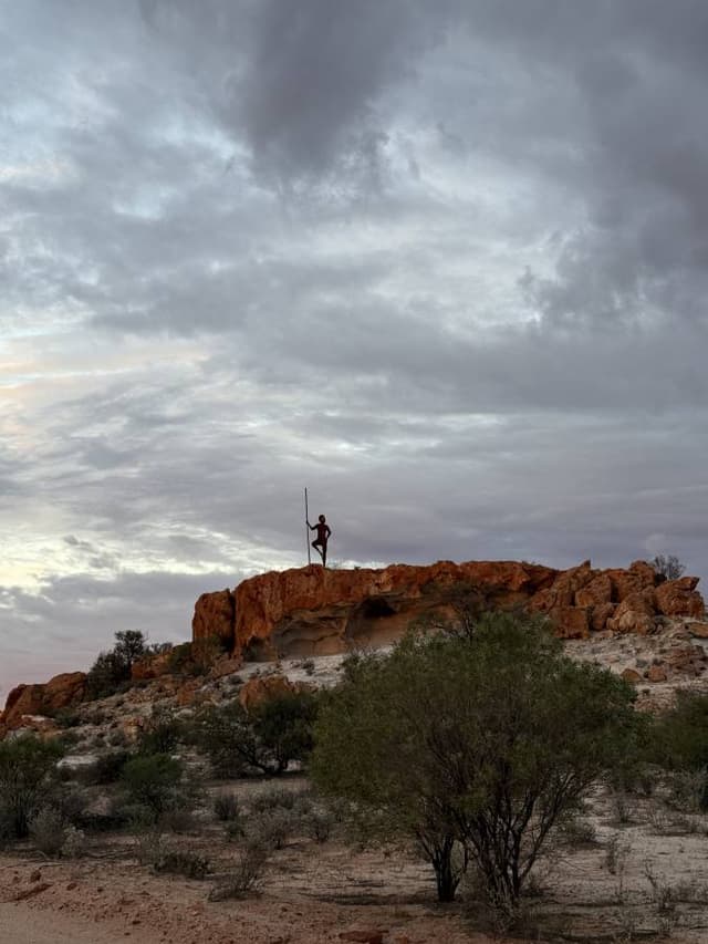 Photo 1 by Felicity H. (6/7/26)