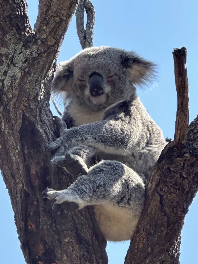 Photo 1 par Alain B. sur la location d'un Hyundai Kona à l’aéroport de Melbourne (24/09/24)