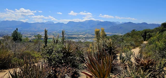 Foto 1 van Jelle J. (2-12-25)