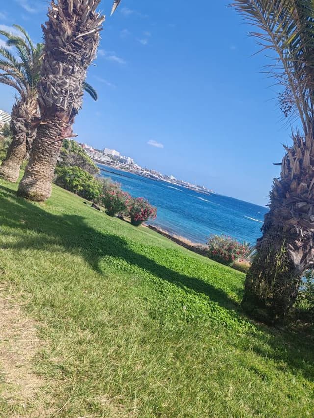 Photo 1 par Stephanie J. (27/05/26)