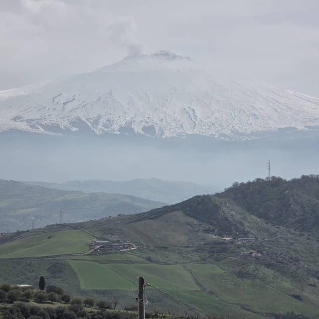 Zdjęcie 2 wykonane przez Krzysztof U. (7.03.26)