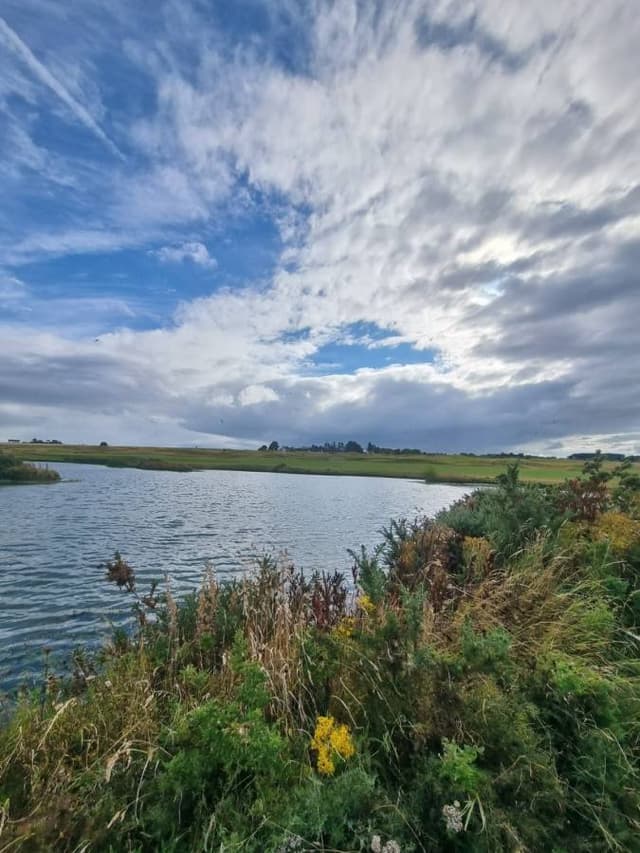 Photo 2 by Chris C K C. (8/31/24)