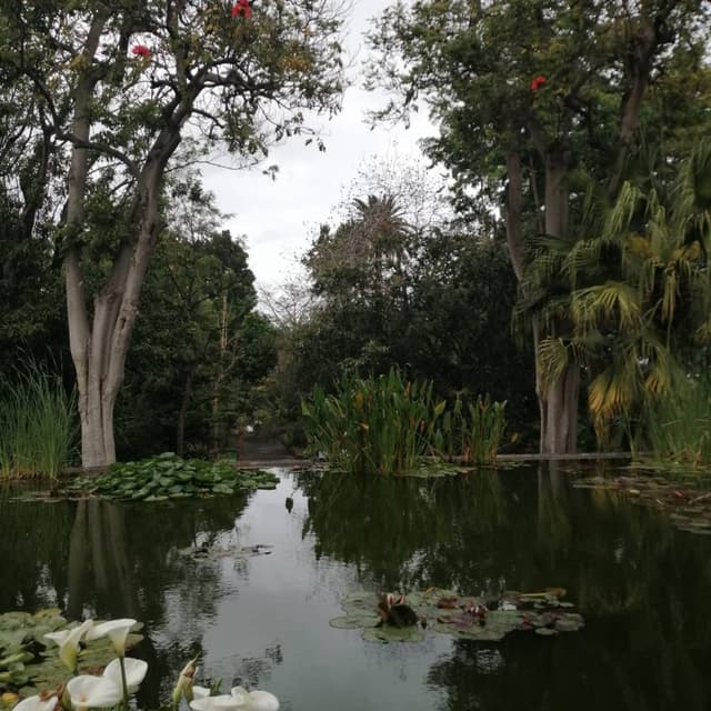 Photo 1 par Serge D. (13/03/26)