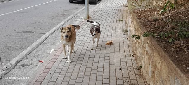 Zdjęcie 1 wykonane przez Marcin C. (27.02.25)