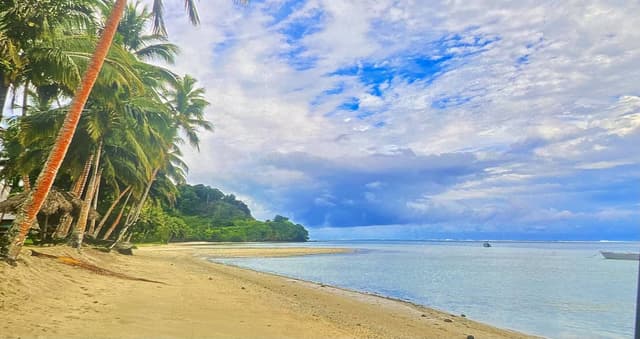 Photo by Blanche B. (12/7/25)