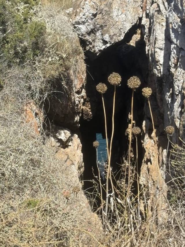 Photo 1 par Laurence P. (06/09/25)