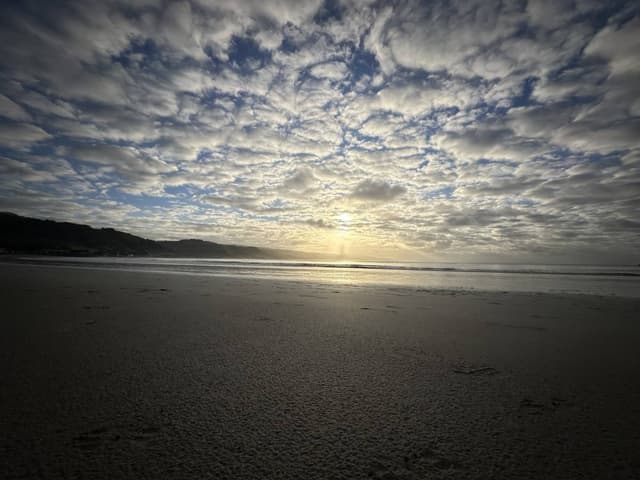 Photo 1 by Cindy O. (6/14/24)