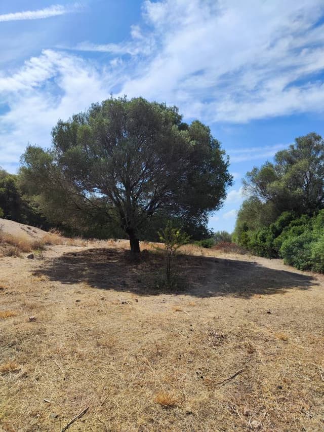 Photo by Slavisa S. about renting a Fiat 500 in Alghero (8/10/24)