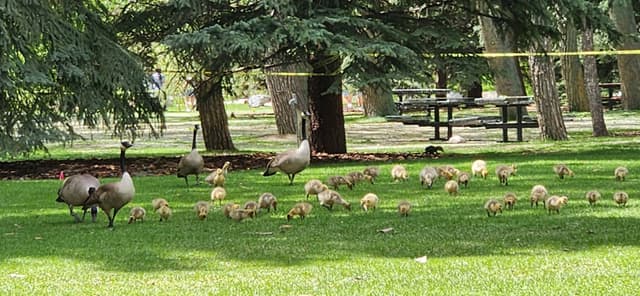 Photo 1 by Graeme M. (5/25/26)