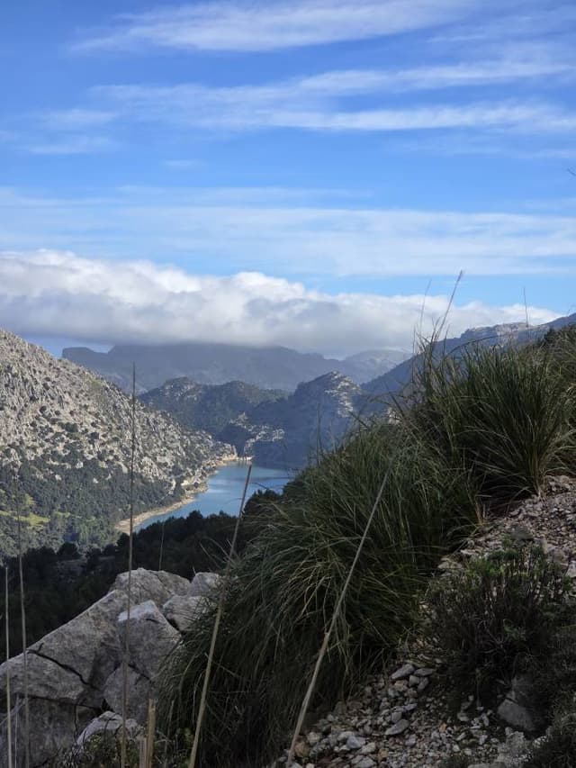 Foto 2 van Karin O. (22-2-26)