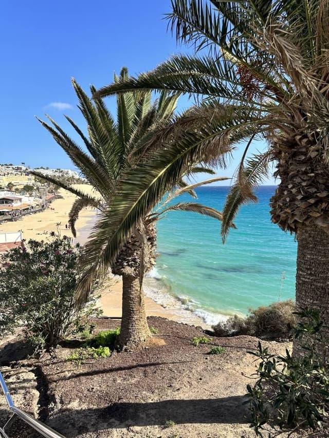 Photo 2 by Michal J. about renting a Fiat 500 in Fuerteventura (12/18/23)
