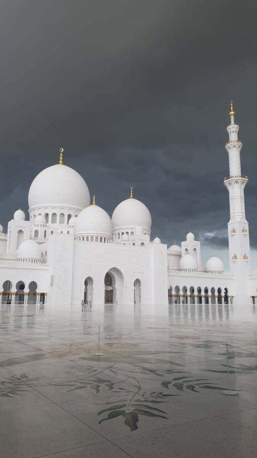 Foto 3 di Guido M. (25/03/26)