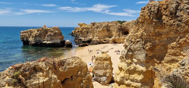 Tivadar G. 1. számú fényképe (24. 06. 13.)