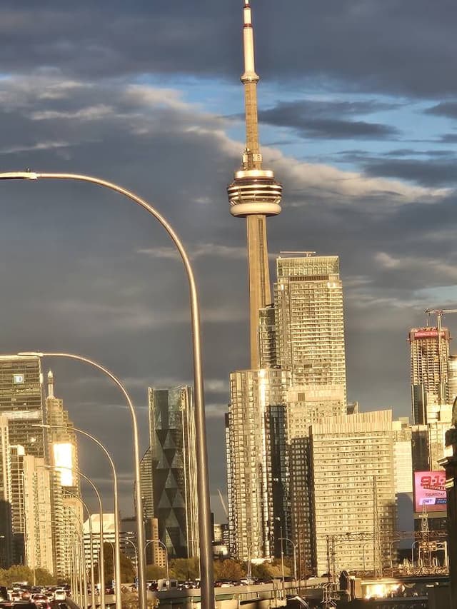 Photo by Harvey S. (11/12/25)