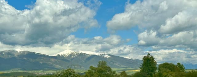 Photo 2 by Peter M. (5/22/25)