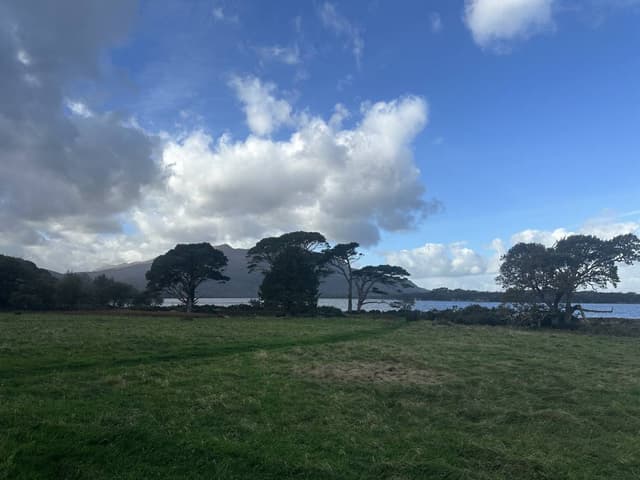 Фото 1 от Svitlana Z. об аренде Ford Fiesta в Дублине (19.11.25)