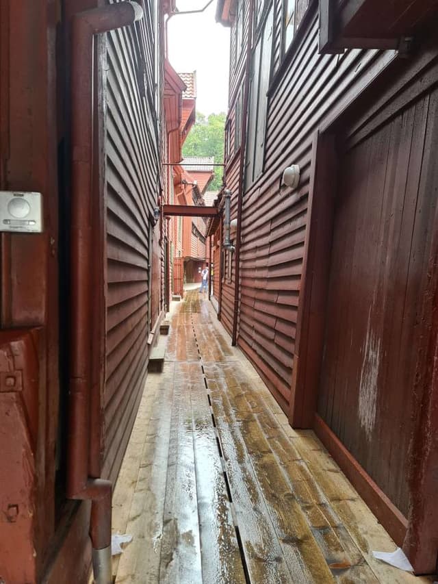 Фото 2 от Roman B. об аренде Toyota Corolla в Норвегии (18.07.25)