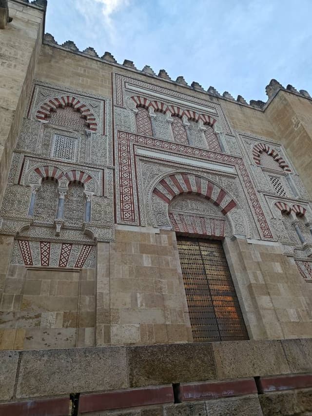 Photo 4 by Baciu C. (3/25/26)