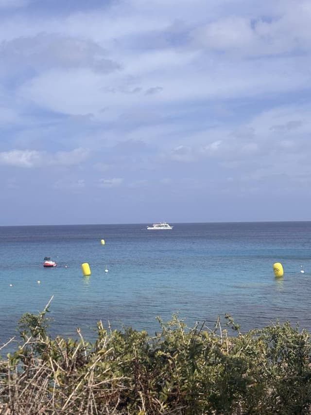 Photo 1 by Victoria R. about hiring a Toyota Auris in Cyprus (22/05/25)