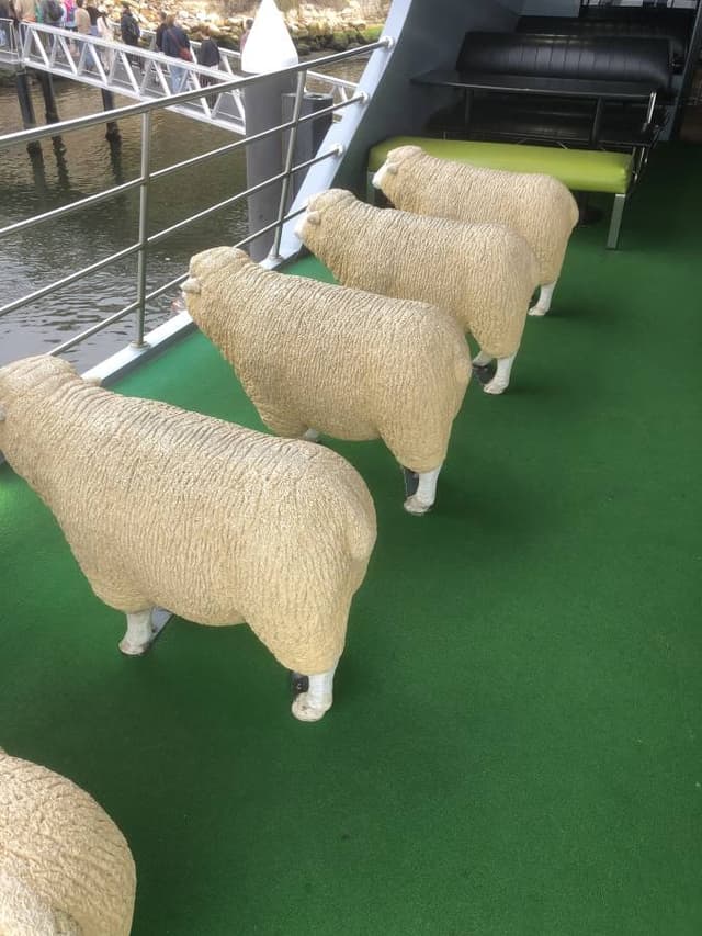 Photo 1 by Frank I. (4/1/26)