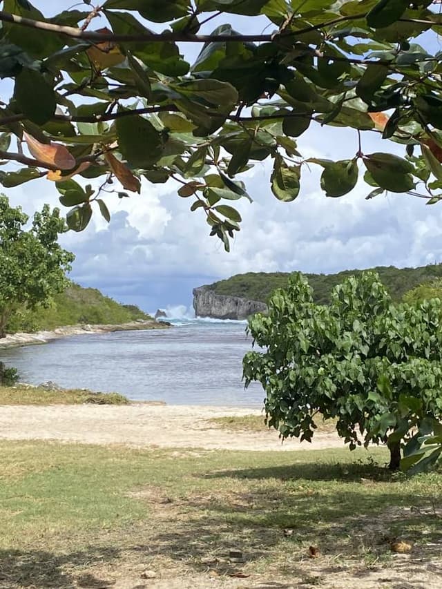 Foto 2 van Eibert V. (18-2-26)