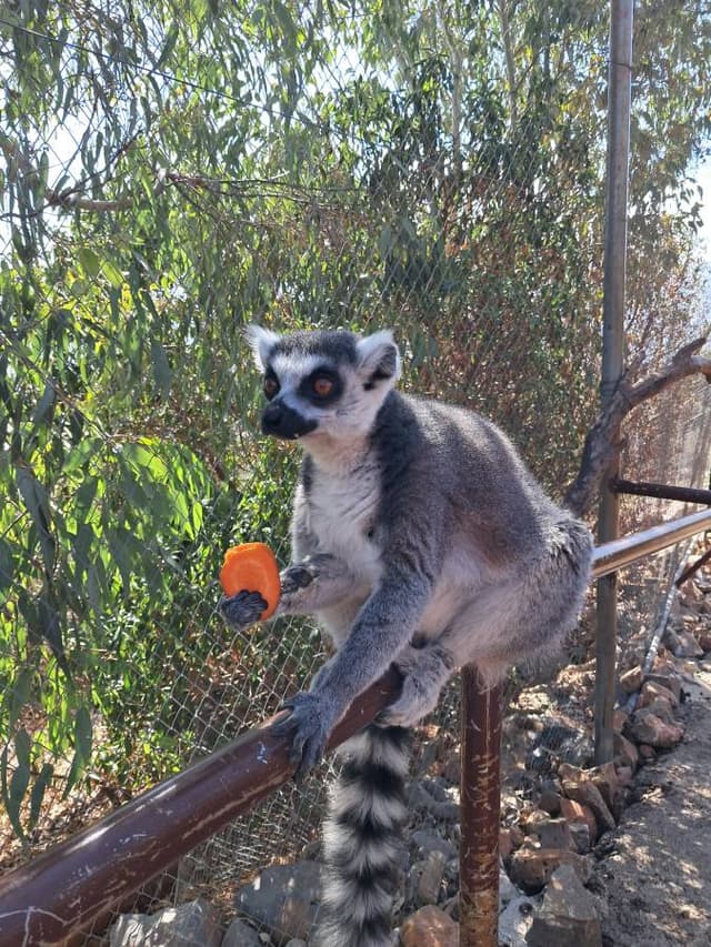 Photo 1 by Pasko P. (10/19/25)