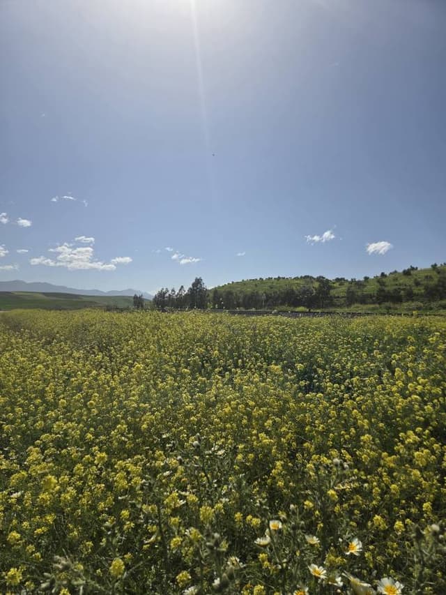 Photo 2 par PIERRE M. (11/04/26)