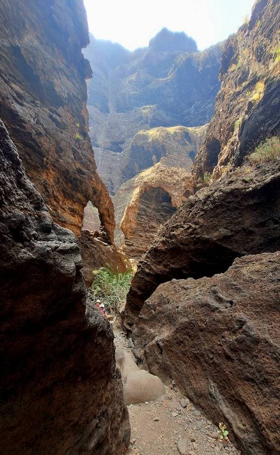 Zdjęcie 1 wykonane przez Jolanta C. (7.07.24)